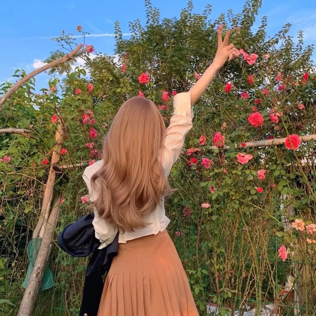 顾总追婚夫人哪里跑